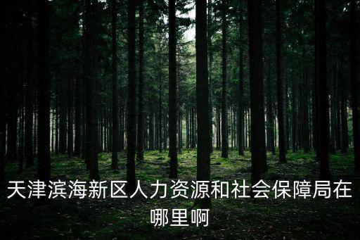 天津濱海新區人力資源和社會保障局在哪里啊