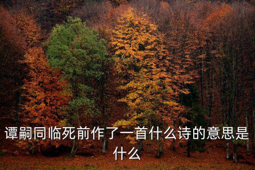 譚嗣同臨死前作了一首什么詩的意思是什么