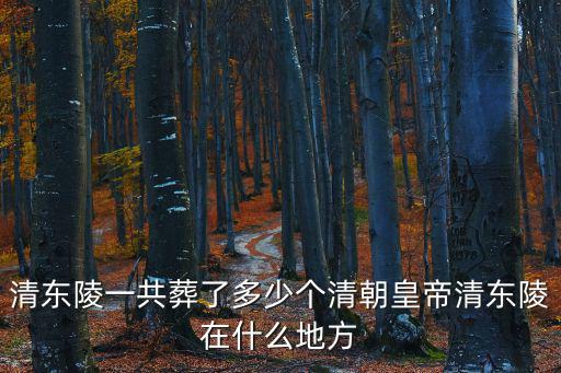 清東陵一共葬了多少個清朝皇帝清東陵在什么地方