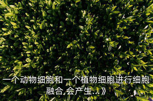 一個動物細胞和一個植物細胞進行細胞融合,會產生...》