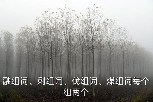 融組詞、剩組詞、伐組詞、煤組詞每個組兩個