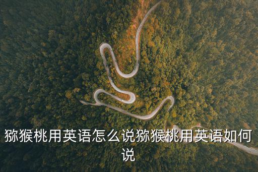 獼猴桃用英語怎么說獼猴桃用英語如何說