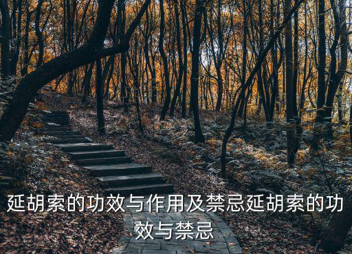 延胡索的功效與作用及禁忌延胡索的功效與禁忌