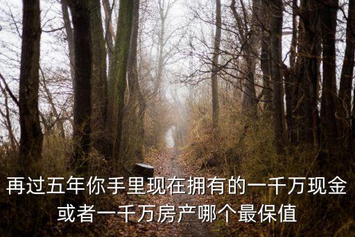 再過(guò)五年你手里現(xiàn)在擁有的一千萬(wàn)現(xiàn)金或者一千萬(wàn)房產(chǎn)哪個(gè)最保值