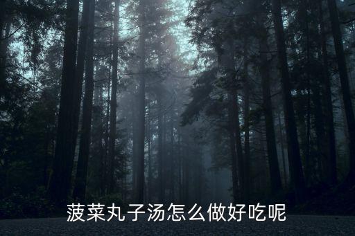 菠菜丸子湯怎么做好吃呢