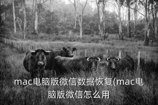 mac電腦版微信數據恢復(mac電腦版微信怎么用