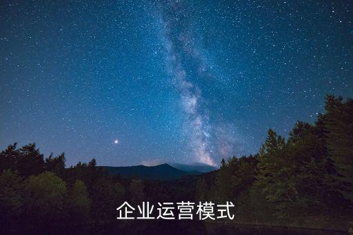 企業(yè)運營模式