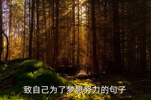 為了自己的夢想,追尋夢想路上的腳步