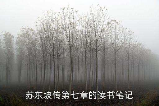 蘇東坡傳讀書筆記,《蘇東坡傳》讀書筆記三《應試》第一集
