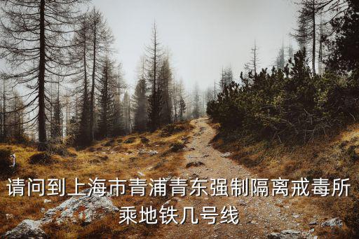 請問到上海市青浦青東強制隔離戒毒所乘地鐵幾號線