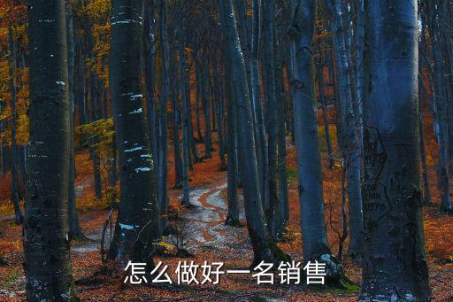 怎么做好一名銷售