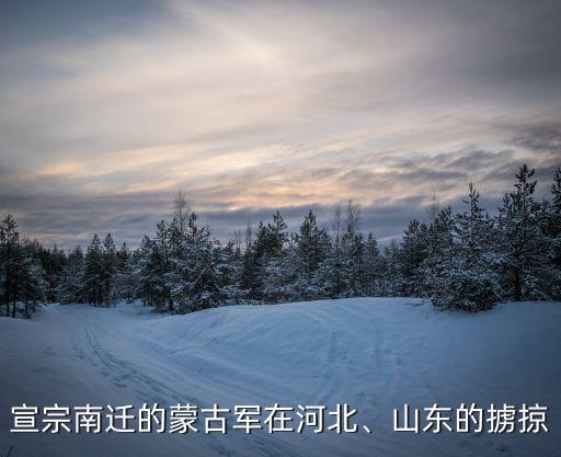宣宗南遷的蒙古軍在河北、山東的擄掠