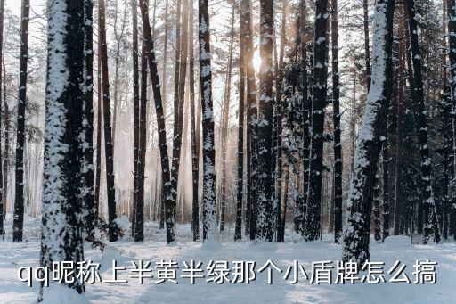 qq昵稱上半黃半綠那個小盾牌怎么搞