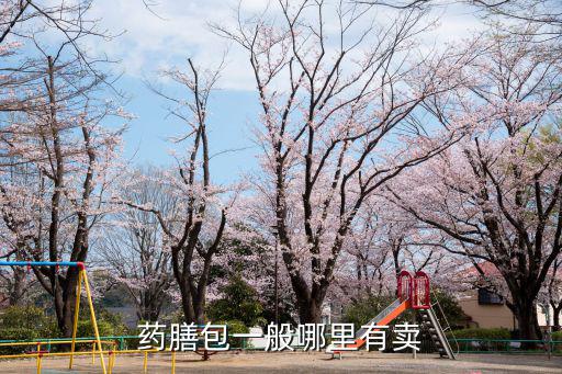 中華藥膳,中華藥膳大全:藥膳是發(fā)揮中藥效能的美味佳肴