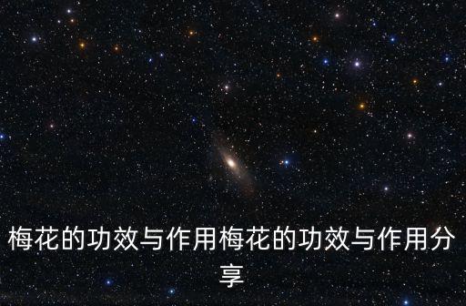 梅花的功效與作用梅花的功效與作用分享