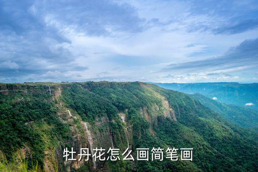 牡丹花怎么畫簡筆畫