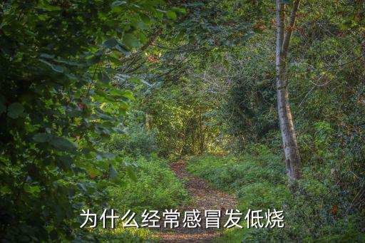為什么經(jīng)常感冒發(fā)低燒