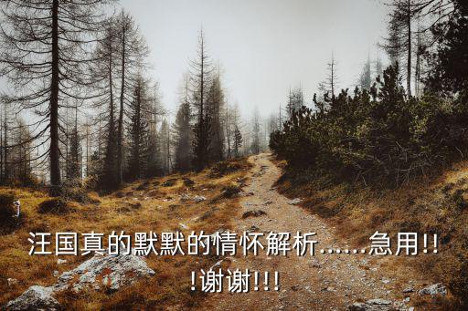 生命總是美麗的,感情不在乎付出與擁有