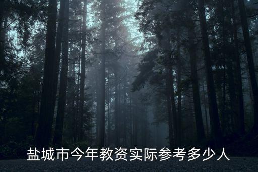鹽城市今年教資實際參考多少人