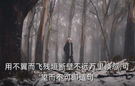 用不翼而飛殘垣斷壁不遠萬里倏忽,可望而不可即造句