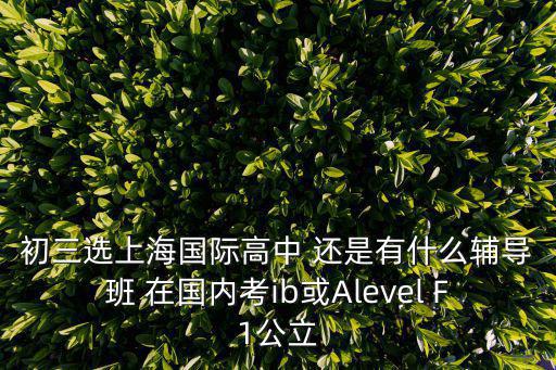 初三選上海國際高中 還是有什么輔導班 在國內考ib或Alevel F1公立