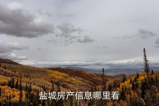 鹽城如何查詢房價，目前鹽城各地區(qū)的房價是多少啊