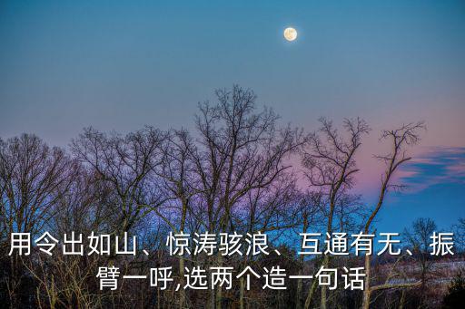 用令出如山、驚濤駭浪、互通有無、振臂一呼,選兩個造一句話