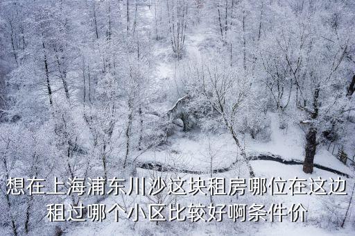 想在上海浦東川沙這塊租房哪位在這邊租過哪個(gè)小區(qū)比較好啊條件價(jià)