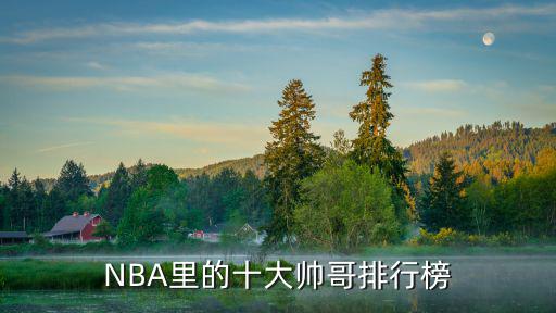 NBA里的十大帥哥排行榜