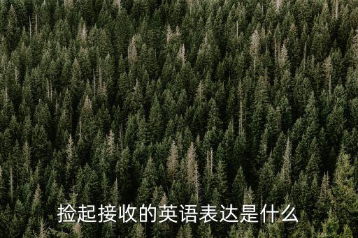 撿起接收的英語表達是什么