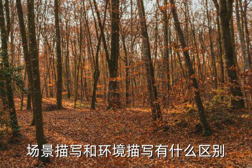 什么是場面描寫,如何進行自然環境描寫和心理描寫