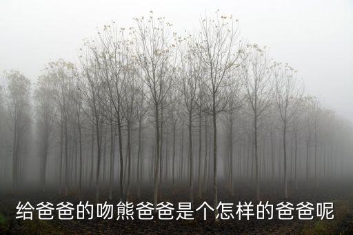 給爸爸的吻熊爸爸是個怎樣的爸爸呢
