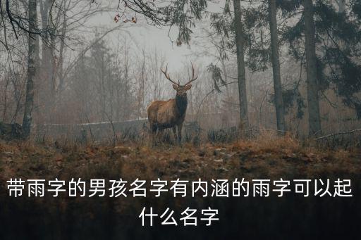 帶雨字的男孩名字有內涵的雨字可以起什么名字