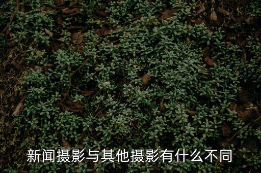 新聞攝影,中國新聞實用大辭典:新聞圖片不能只剩新聞含量