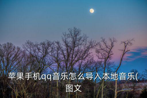 蘋(píng)果手機(jī)qq音樂(lè)怎么導(dǎo)入本地音樂(lè)(圖文