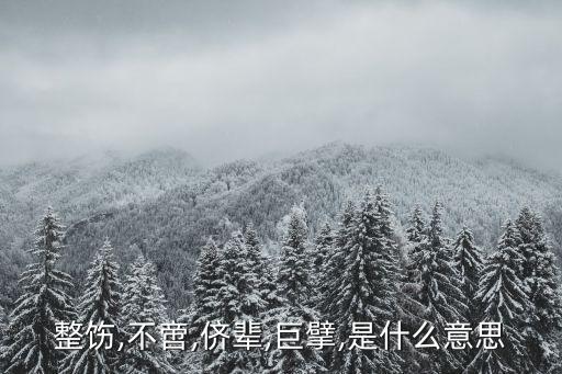 整飭,不啻,儕輩,巨擘,是什么意思