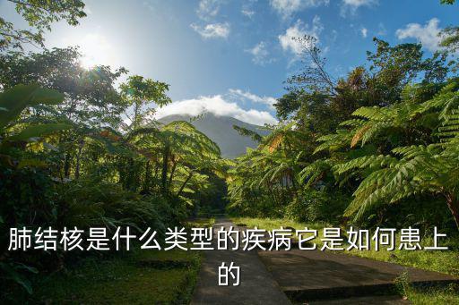 肺結核是什么類型的疾病它是如何患上的