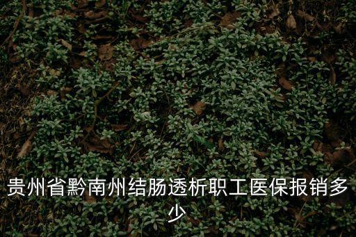 貴州省黔南州結腸透析職工醫保報銷多少