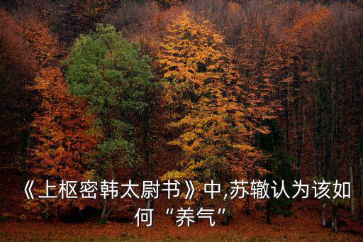 《上樞密韓太尉書(shū)》中,蘇轍認(rèn)為該如何“養(yǎng)氣”