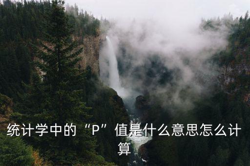 統(tǒng)計學中的“P”值是什么意思怎么計算