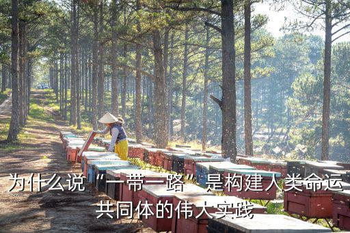 為什么說“一帶一路”是構建人類命運共同體的偉大實踐
