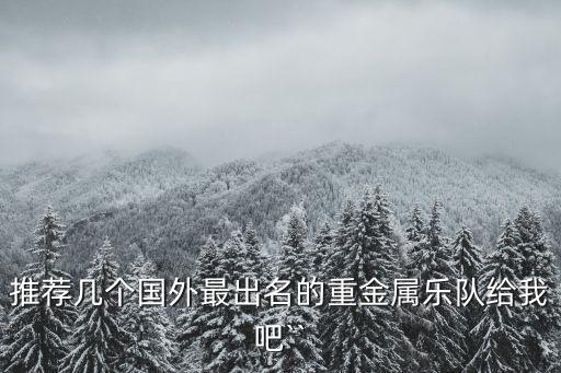 推薦幾個(gè)國(guó)外最出名的重金屬樂(lè)隊(duì)給我吧``