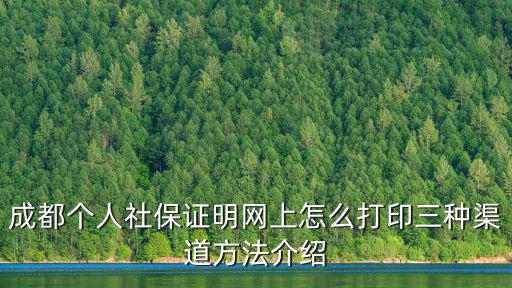 成都個人社保證明網上怎么打印三種渠道方法介紹