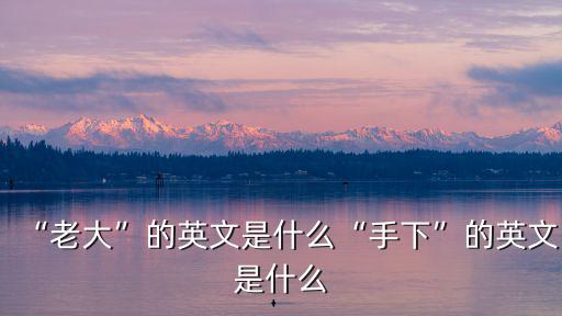 “老大”的英文是什么“手下”的英文是什么