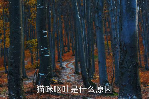 貓咪為什么會嘔吐,貓咪為什么吐食物?可能是胃腸炎引起