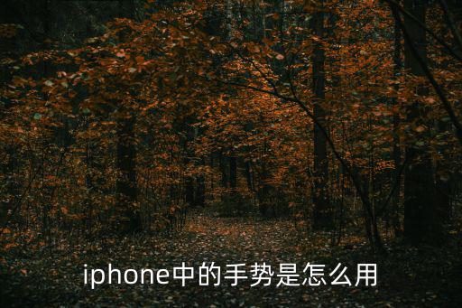 iphone手勢(shì),iphone自定義手勢(shì)怎么用?