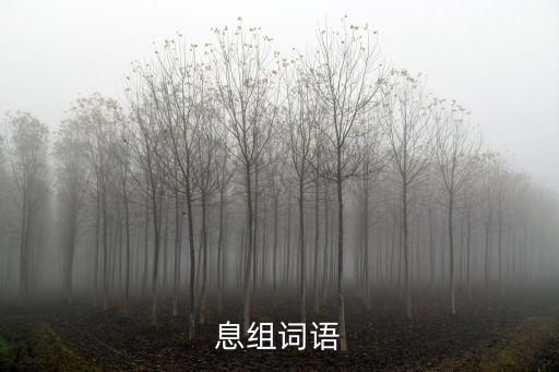 息的詞語,息字組詞:息息顧息平息息借掩息息債