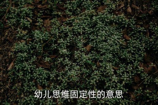 幼兒思維固定性的意思