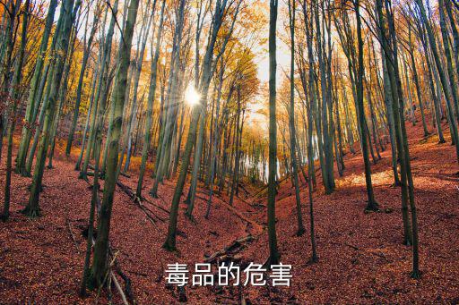 毒品的危害