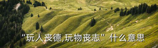 天然氧吧什么意思,四大選區競選廣播